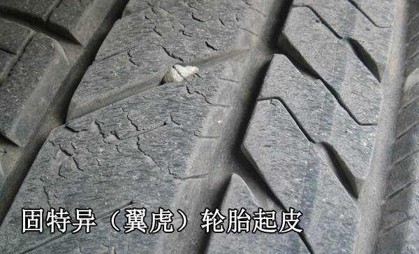 2015긣ظ˹ضᡰó