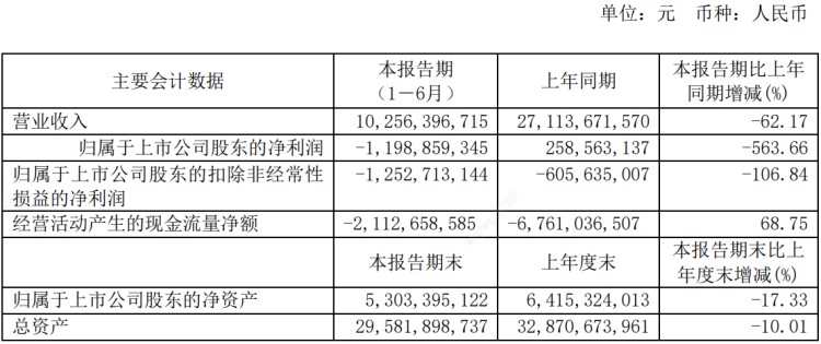 净利润亏损12.05亿元 庞大公布半年报 