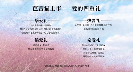 欧拉汽车江苏宁枫ORA芭蕾猫车型上市发布会