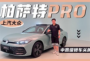 и߼γͷ &nbspPRO