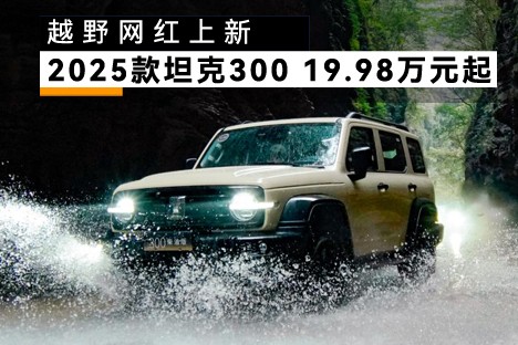 ԽҰ£2025̹300&nbsp19.98Ԫ