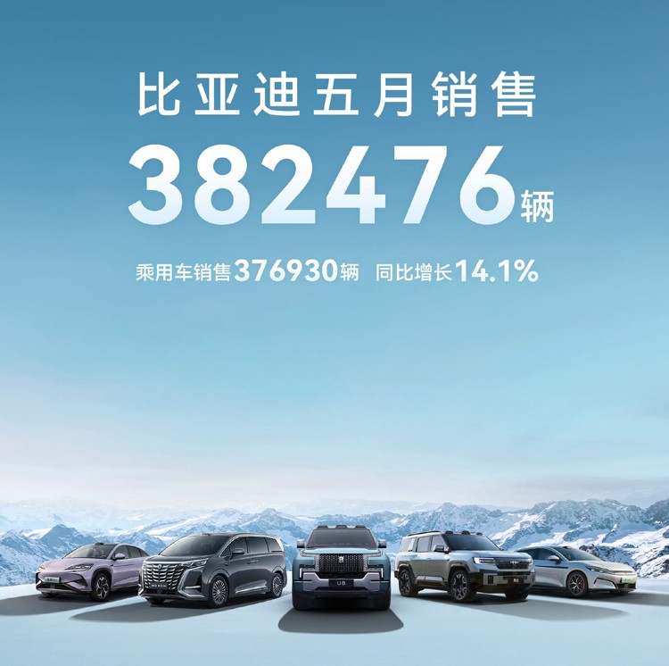 “自主5强”销量一览！