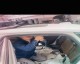 沃尔沃S90质量问题天窗总成漏水造成车辆抛锚
