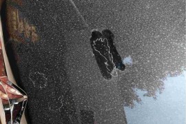 2014款雪铁龙爱丽舍原厂漆脱落。
