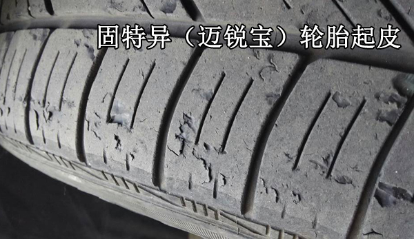 2015긣ظ˹ضᡰó