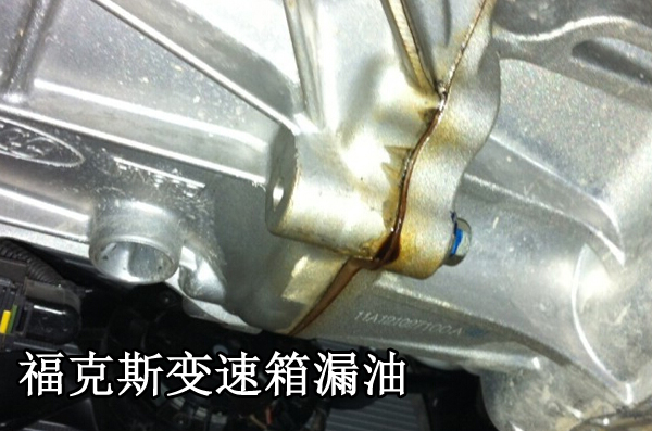 2015긣ظ˹ضᡰó
