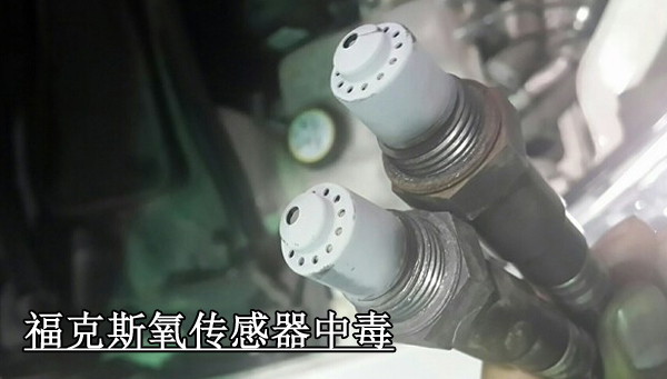 2015긣ظ˹ضᡰó